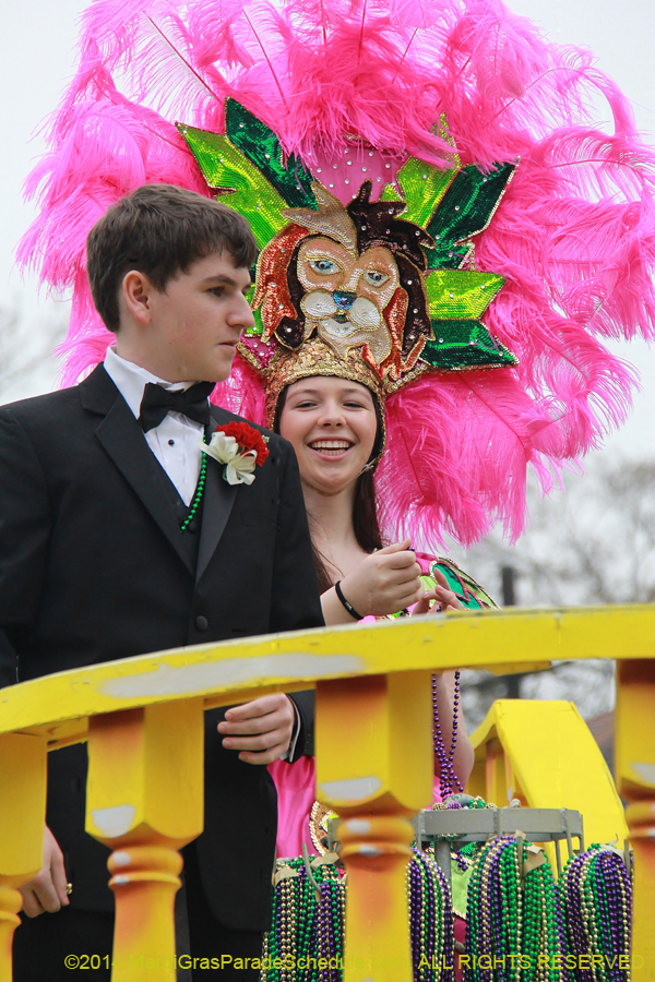 2014-Krewe-of-Carrollton11089