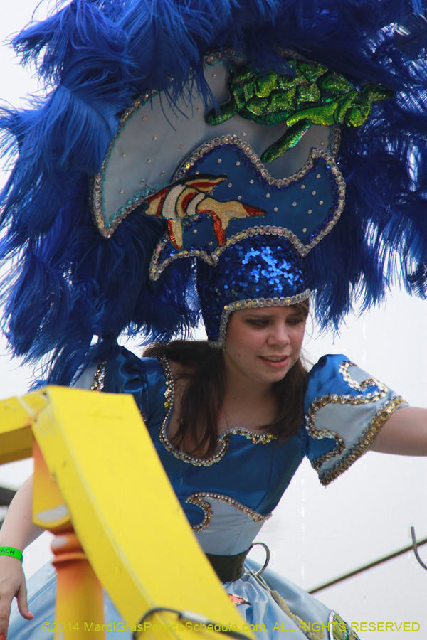 2014-Krewe-of-Carrollton11090