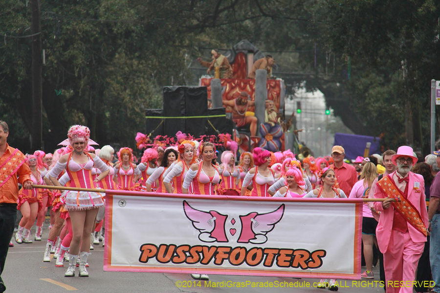 2014-Krewe-of-Carrollton11098