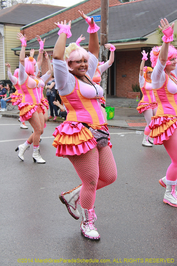 2014-Krewe-of-Carrollton11102