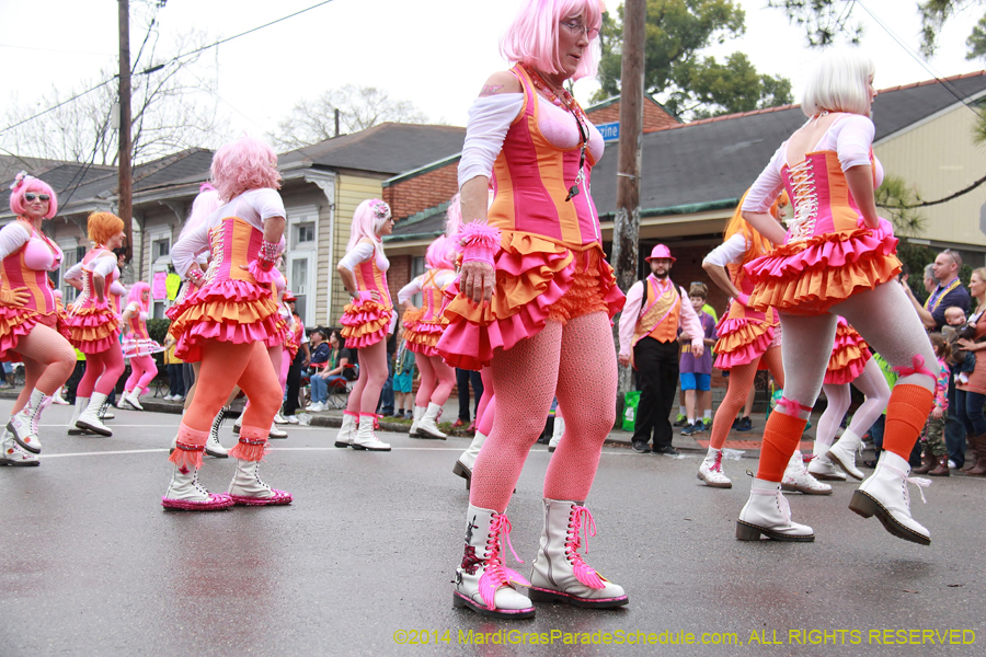 2014-Krewe-of-Carrollton11104