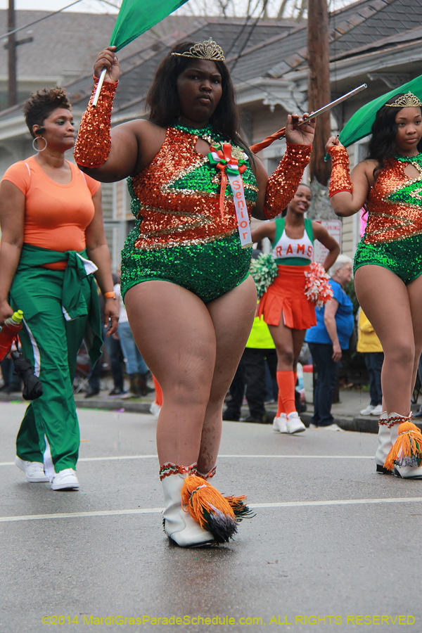 2014-Krewe-of-Carrollton11120