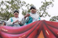 2014-Krewe-of-Carrollton11129