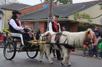 2014-Krewe-of-Carrollton11166