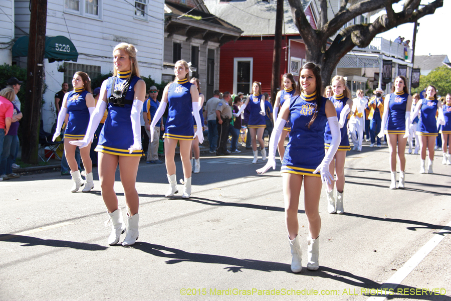 Krewe-of-Carrollton-2015-11950