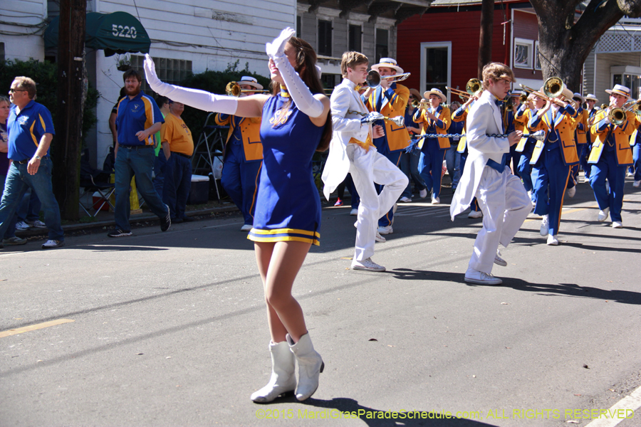 Krewe-of-Carrollton-2015-11951