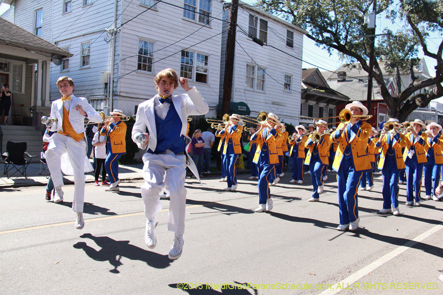 Krewe-of-Carrollton-2015-11952