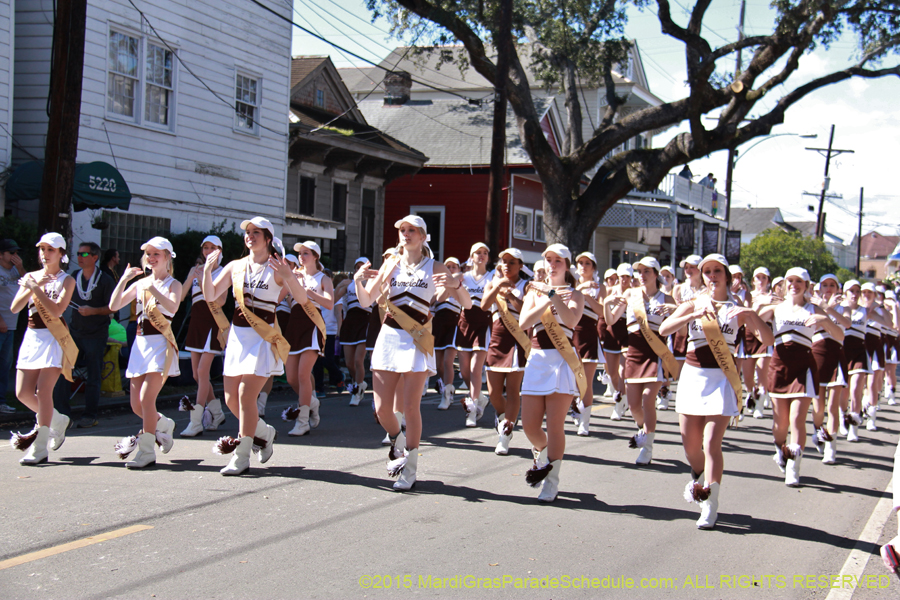 Krewe-of-Carrollton-2015-11963