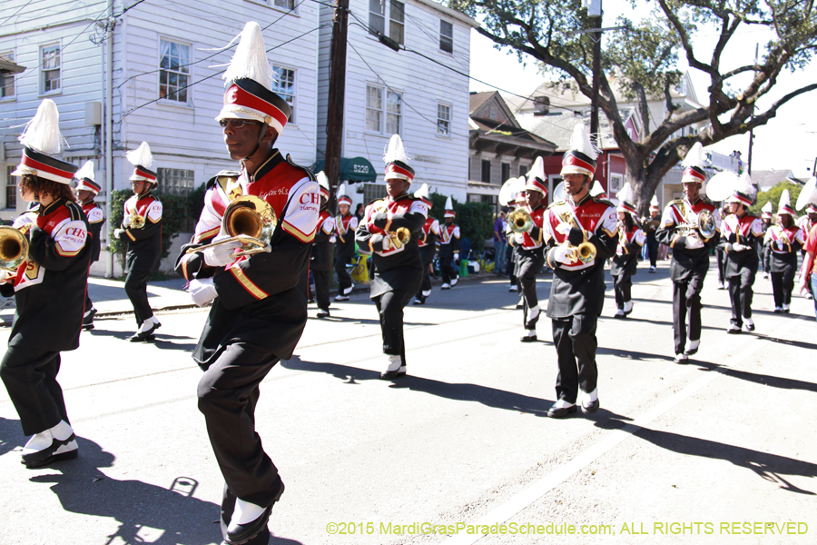 Krewe-of-Carrollton-2015-11983