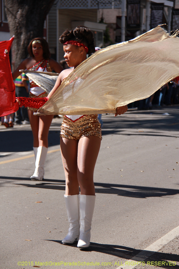 Krewe-of-Carrollton-2015-11986