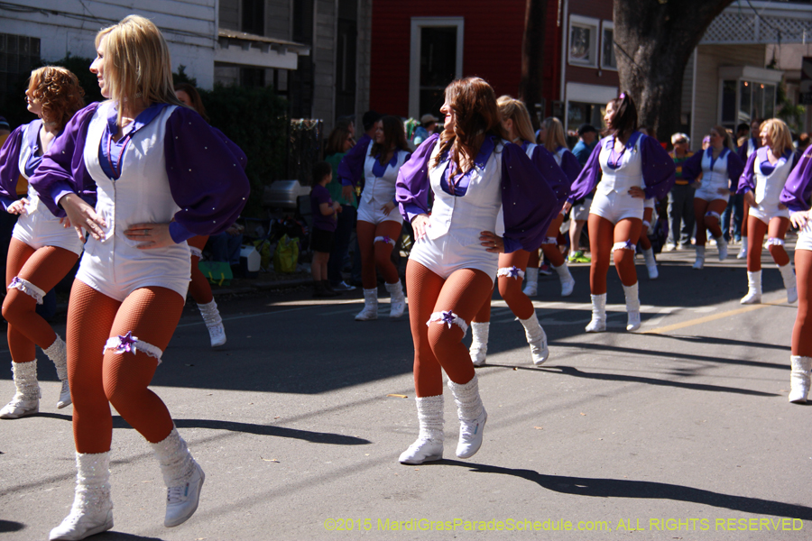 Krewe-of-Carrollton-2015-11996