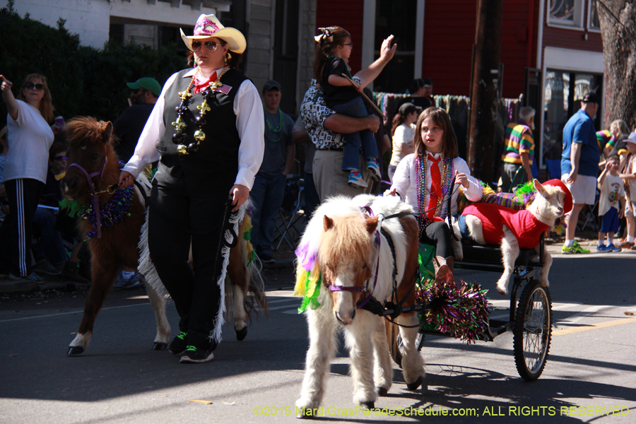 Krewe-of-Carrollton-2015-12003