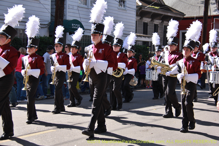 Krewe-of-Carrollton-2015-12027