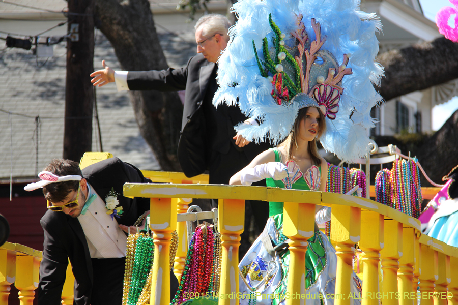 Krewe-of-Carrollton-2015-12030