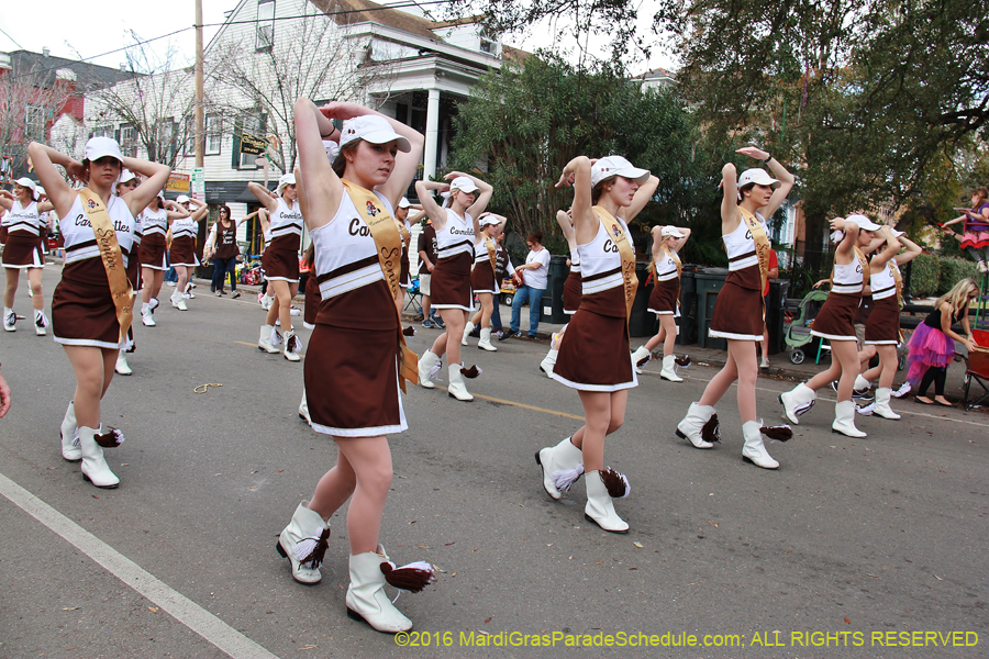 2016-Krewe-of-Carrollton-003557