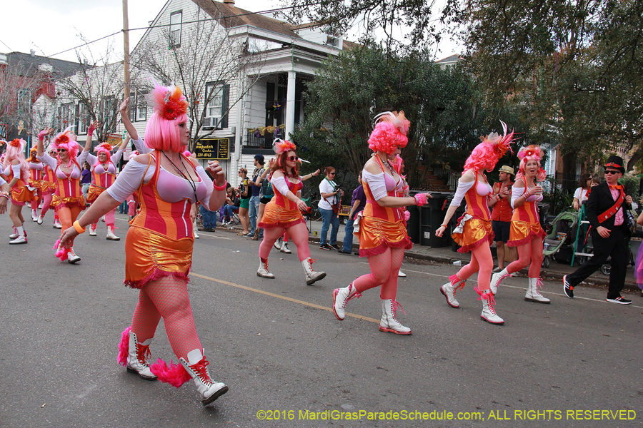 2016-Krewe-of-Carrollton-003599