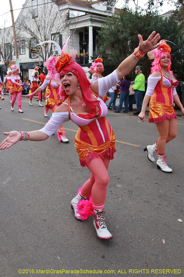 2016-Krewe-of-Carrollton-003600