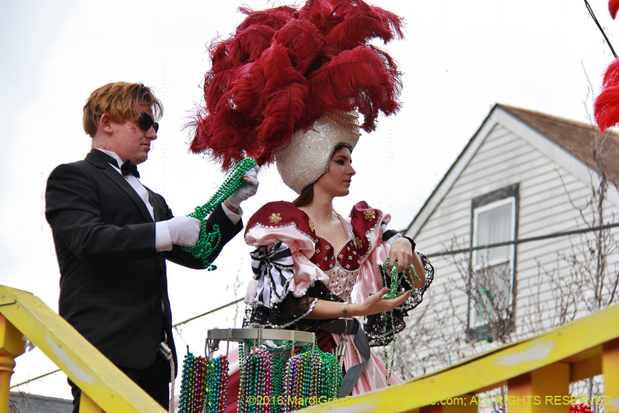 2016-Krewe-of-Carrollton-003631