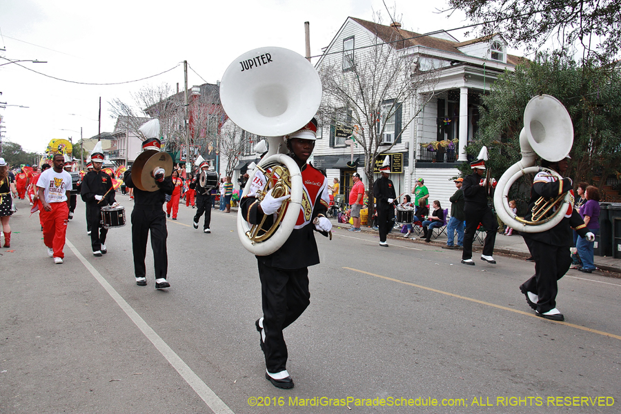 2016-Krewe-of-Carrollton-003643