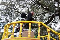 2016-Krewe-of-Carrollton-003589