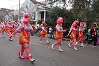 2016-Krewe-of-Carrollton-003599