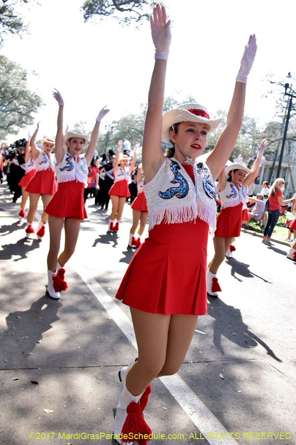 Krewe-of-Carrollton-2017-04108