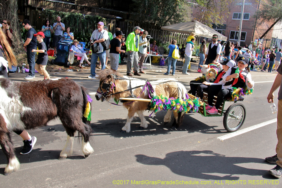 Krewe-of-Carrollton-2017-04168