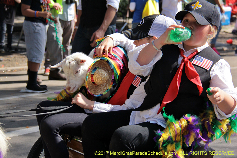 Krewe-of-Carrollton-2017-04169