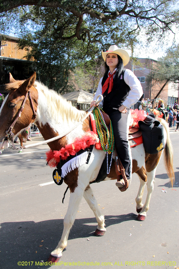 Krewe-of-Carrollton-2017-04174