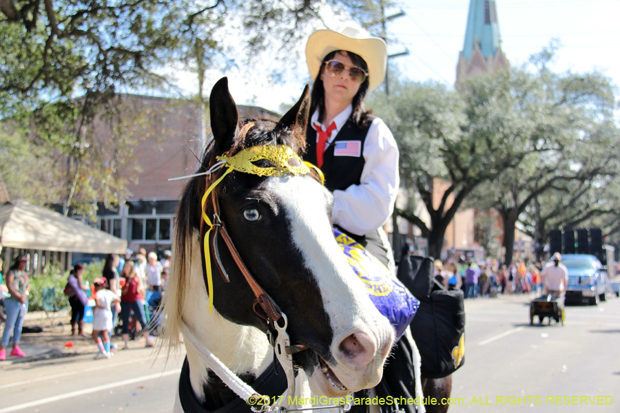 Krewe-of-Carrollton-2017-04177