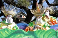 Krewe-of-Carrollton-2017-04155