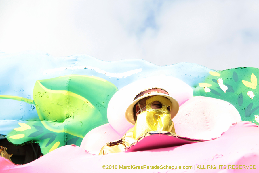 2018-Krewe-of-Carrollton-00002762