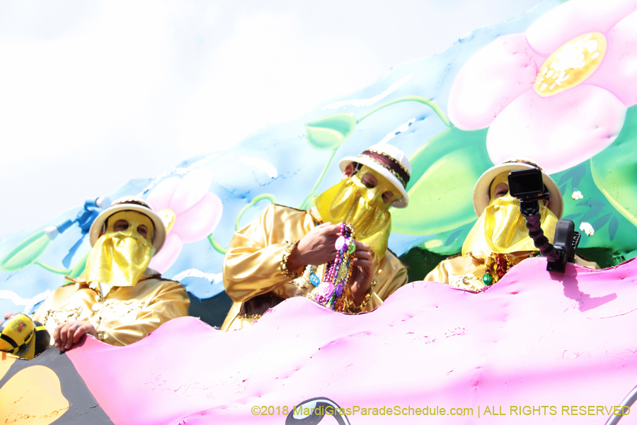 2018-Krewe-of-Carrollton-00002764