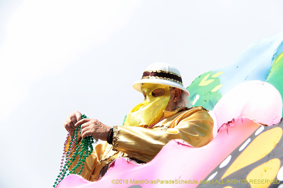 2018-Krewe-of-Carrollton-00002765