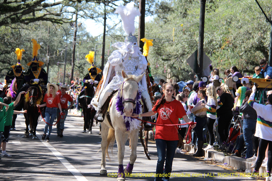 Krewe-of-Carrollton-2019-002948