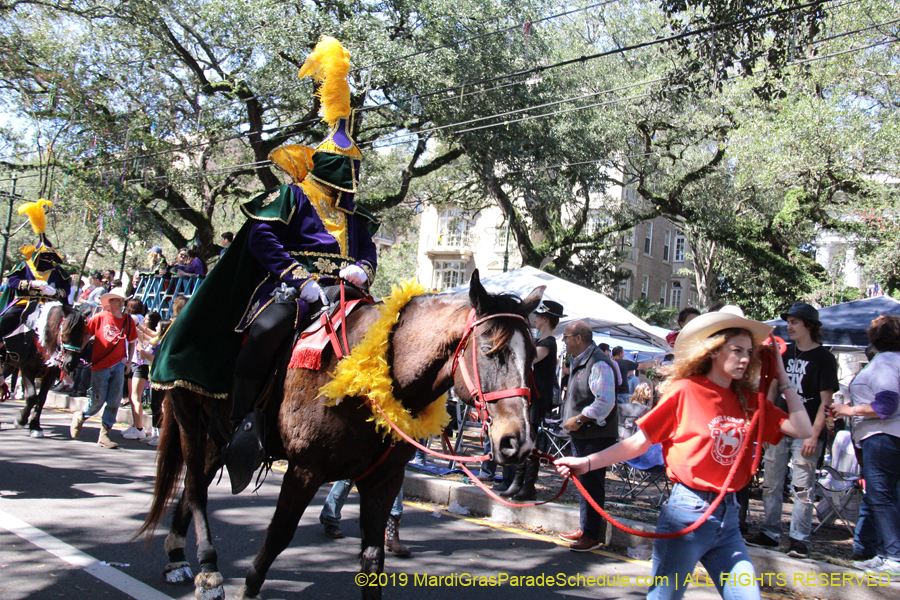 Krewe-of-Carrollton-2019-002950