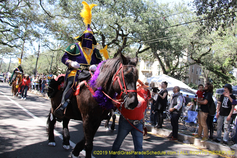 Krewe-of-Carrollton-2019-002951