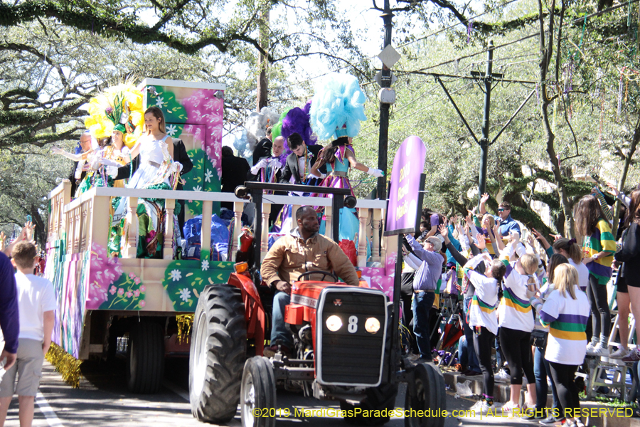 Krewe-of-Carrollton-2019-002986