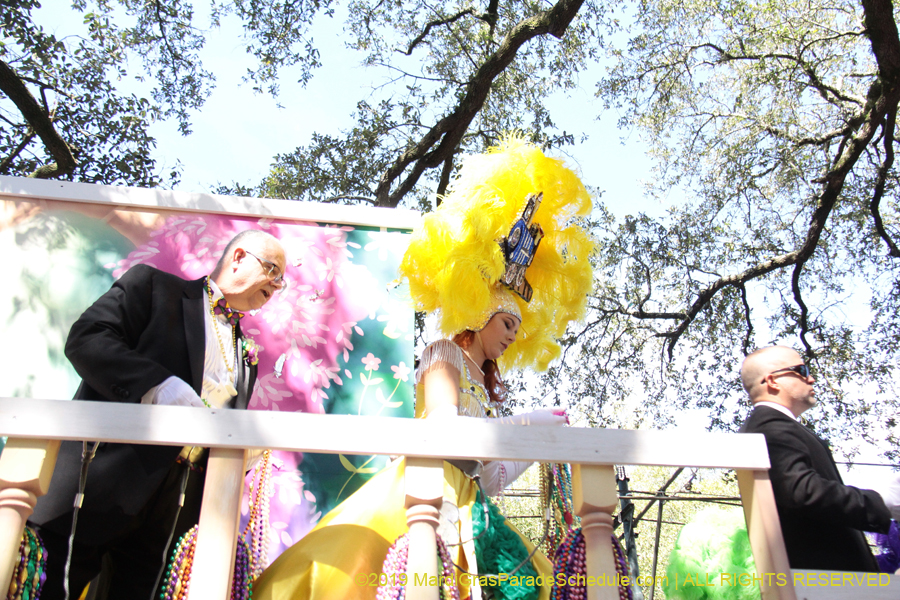 Krewe-of-Carrollton-2019-002989