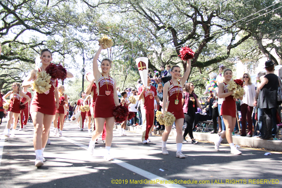 Krewe-of-Carrollton-2019-002993