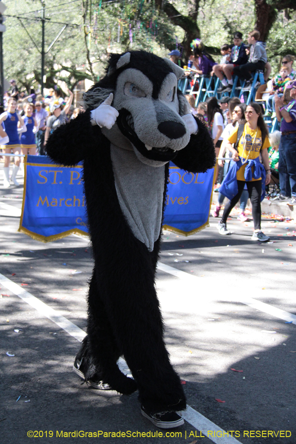 Krewe-of-Carrollton-2019-003003