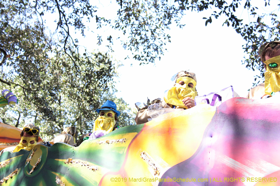 Krewe-of-Carrollton-2019-003023