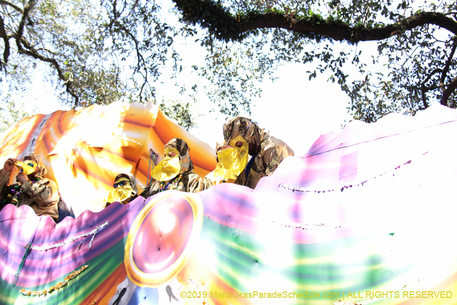 Krewe-of-Carrollton-2019-003029