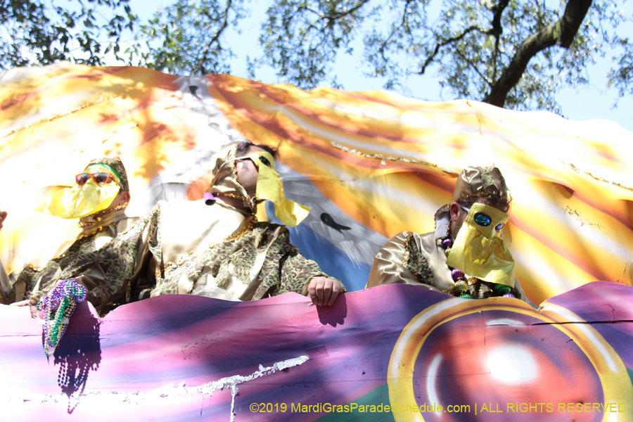 Krewe-of-Carrollton-2019-003031