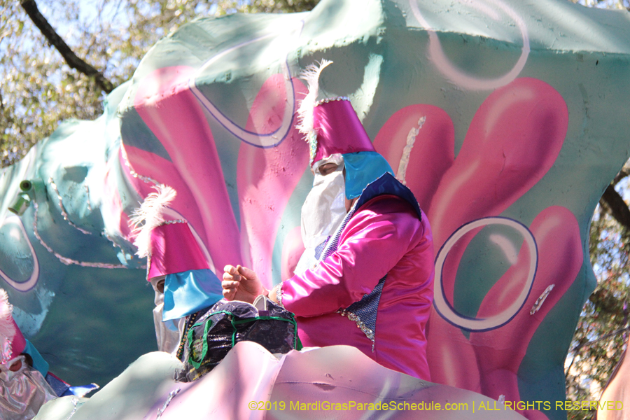 Krewe-of-Carrollton-2019-003037