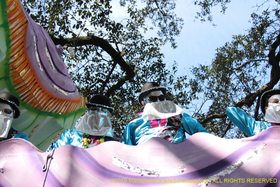 Krewe-of-Carrollton-2019-003058