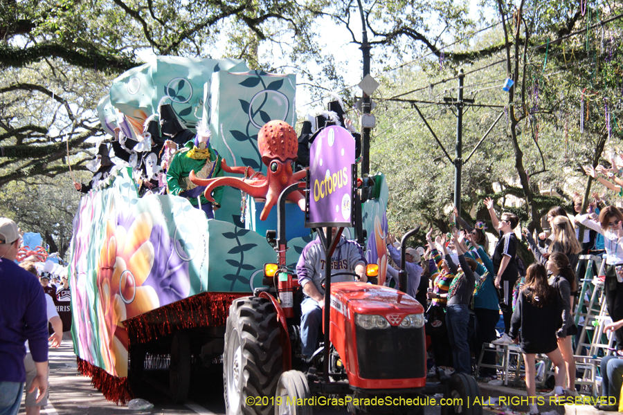 Krewe-of-Carrollton-2019-003070