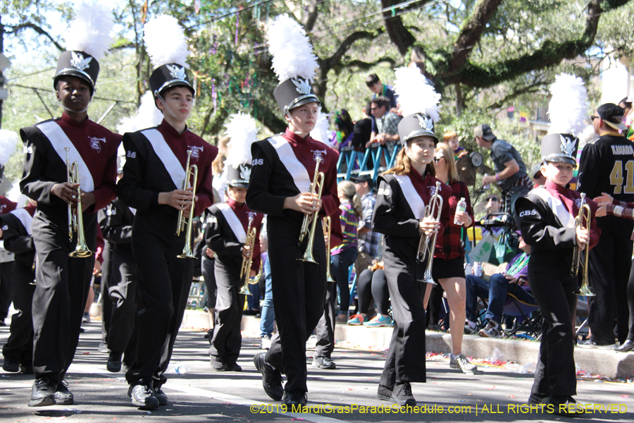Krewe-of-Carrollton-2019-003077