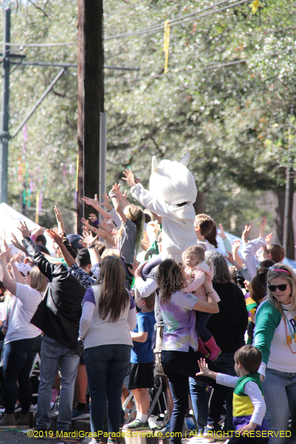 Krewe-of-Carrollton-2019-003080