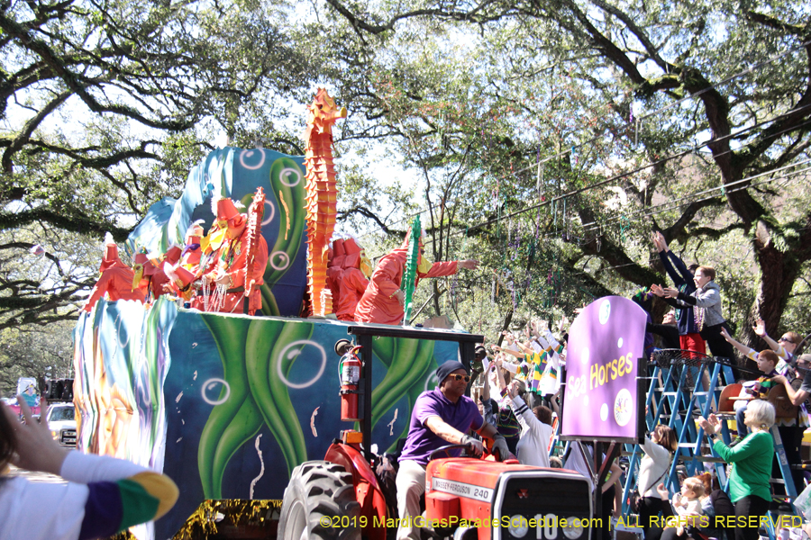 Krewe-of-Carrollton-2019-003093